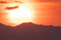 SNE06084