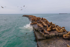 DJI_0013