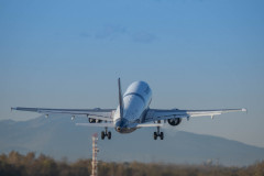 SNE01295