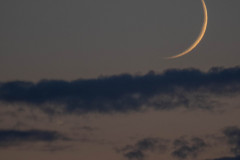 SNE02126