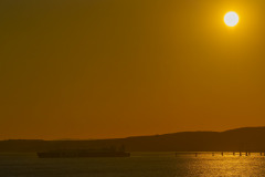 SNE05629
