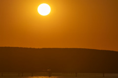 SNE05697