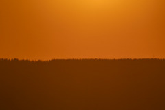 SNE05715